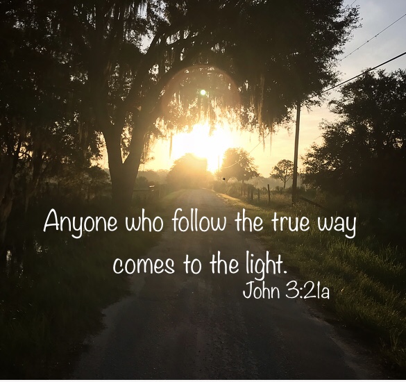 Follow The Light