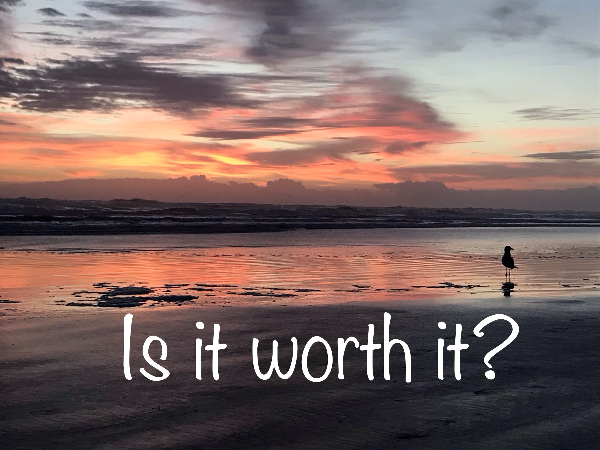 “Is it worth it?”