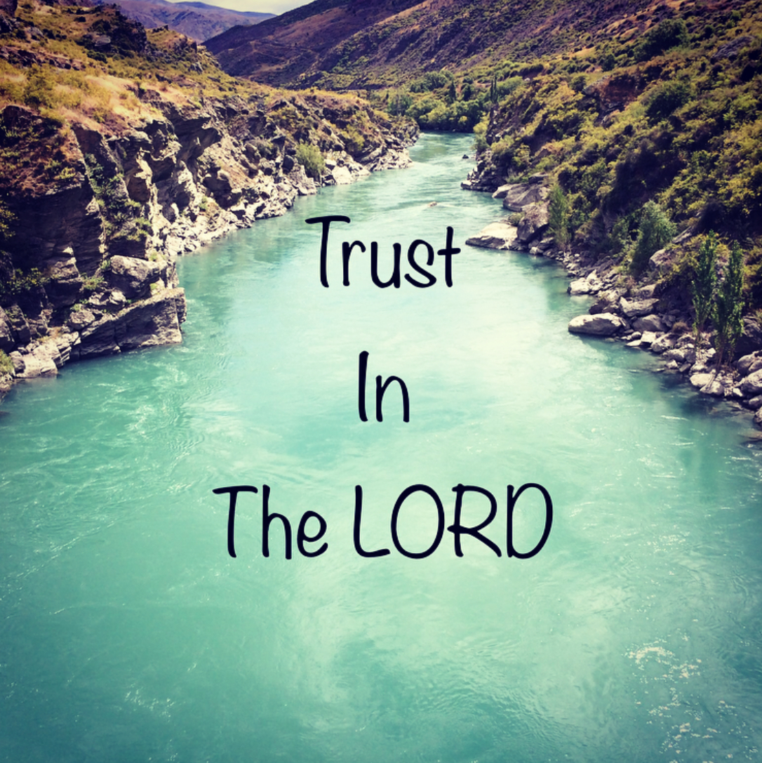 Day 10 of 2020: Trust in the Lord