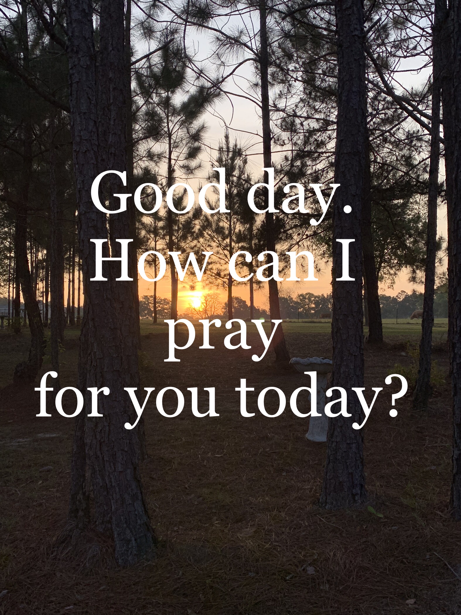 Are you in need of prayer?