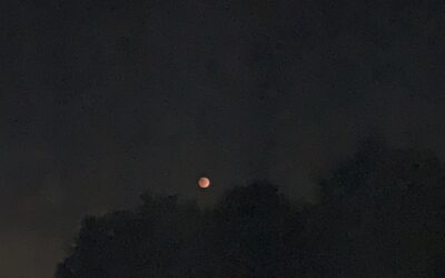 God’s Handiwork…The Blood Moon…YOU!