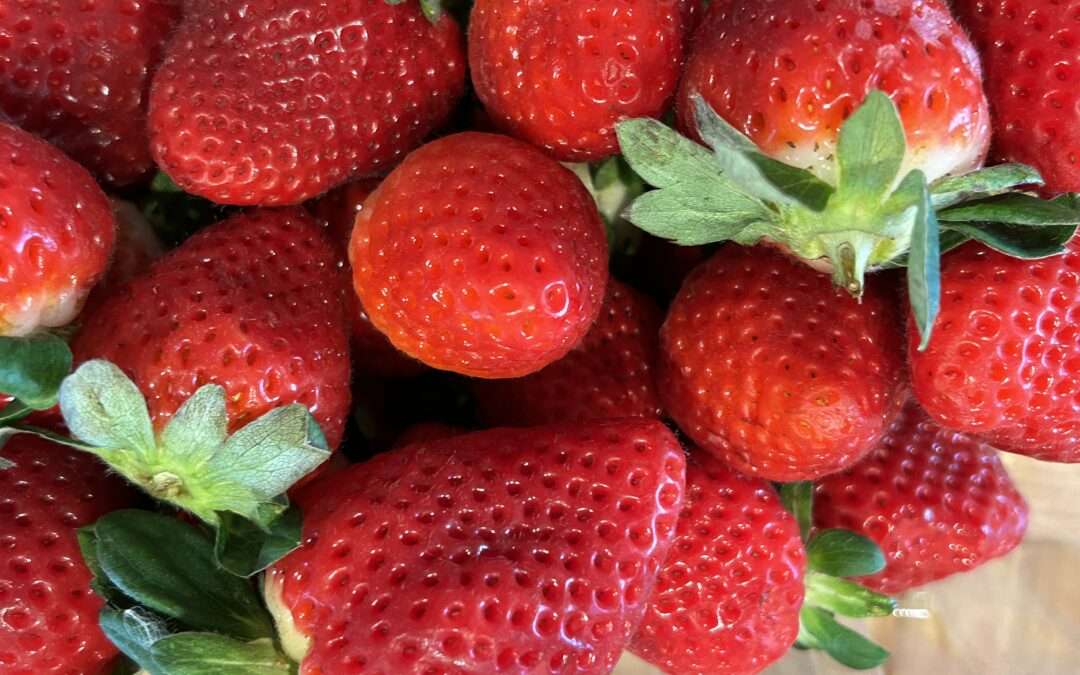 National Strawberry Day – Taste and See