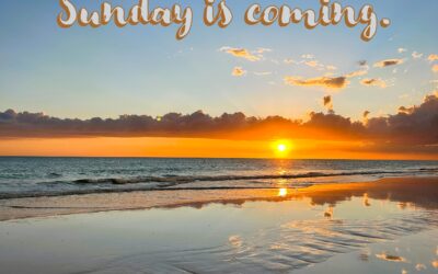 From Pain to Promise